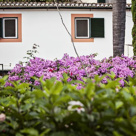 Florenca By Analodges Funchal (Madeira)